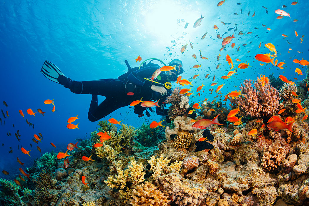 snorkeling-mar-rojo